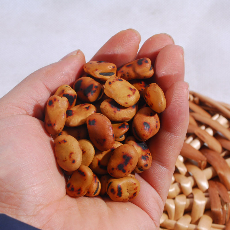 湖南特产铁锅炒胡豆农家炒蚕豆500g炒铁豌豆零食香酥脆可口包邮