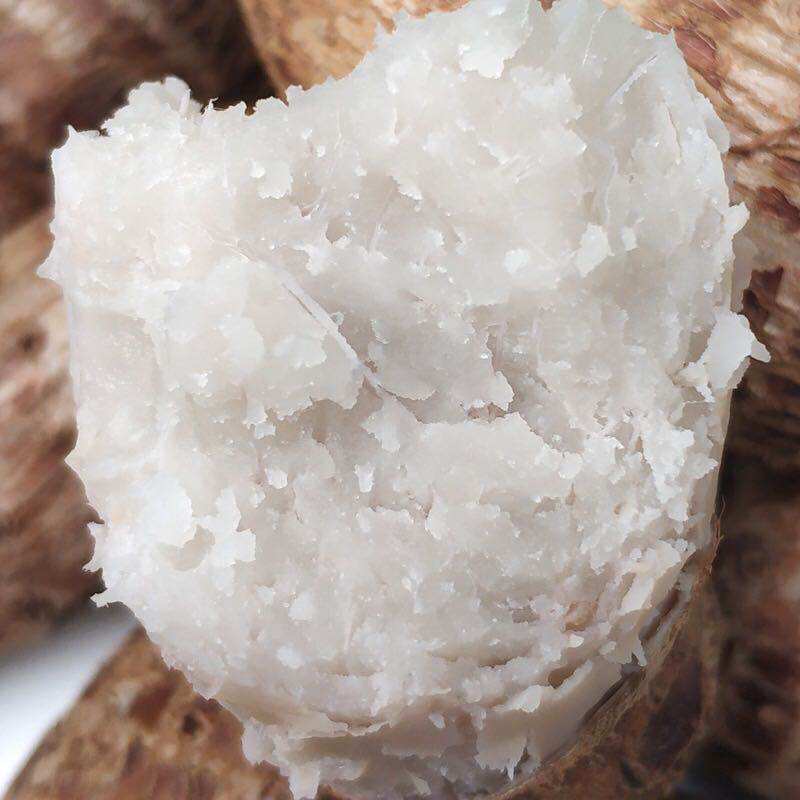 顺丰四川现挖红芽芋儿小芋头红嘴芋仔芋粉糯香芋应季农产品包邮