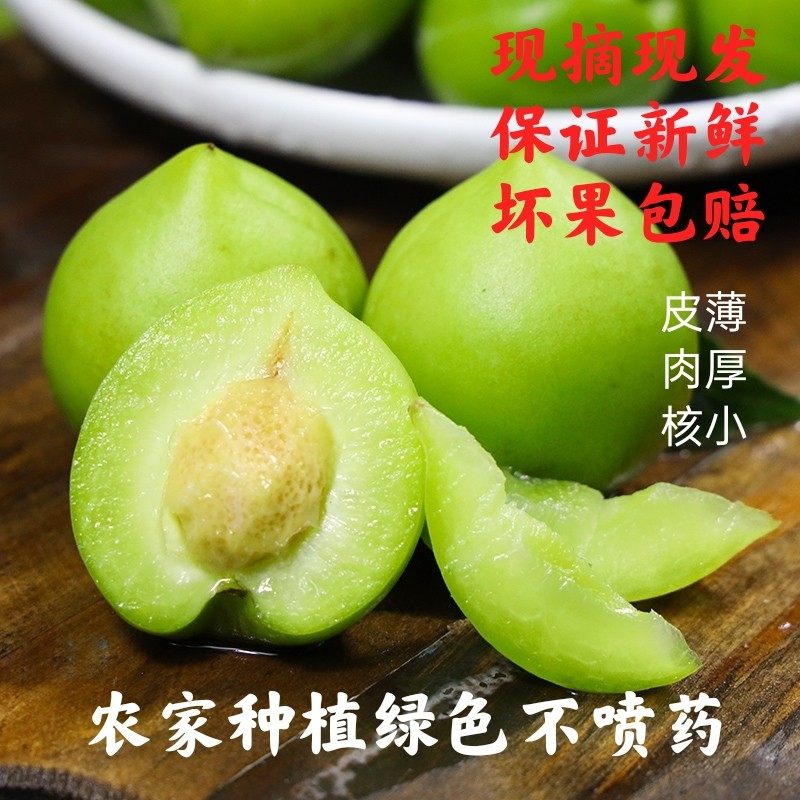 诏安腌制黄梅酵素水果酸水孕妇高山梅泡胭脂其它