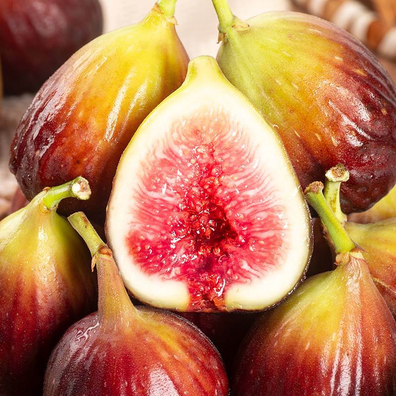 无花果新疆鲜果红皮特级应季大果新鲜水果青紫无花果