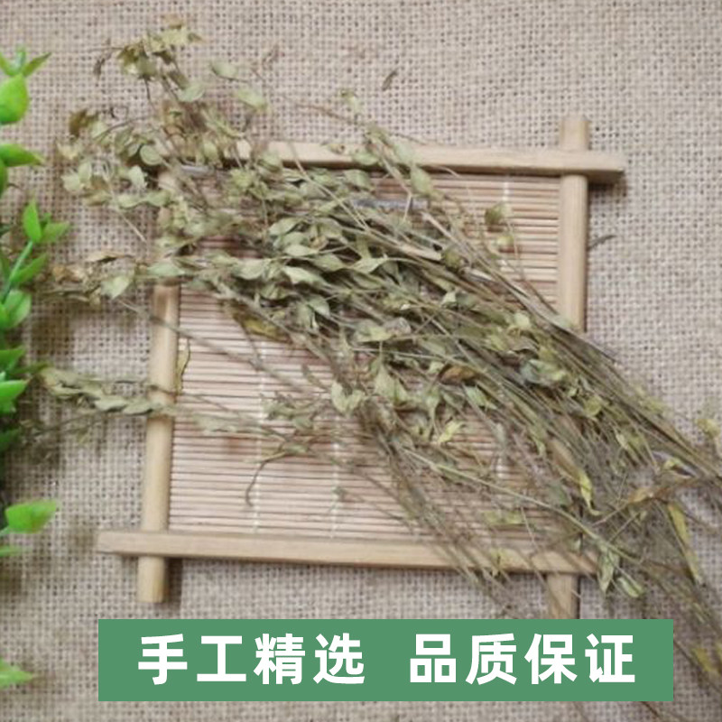 一条根苍蝇丁贵草翼草乌蝇丁癸草500克中药材人字二叶其他药食同源