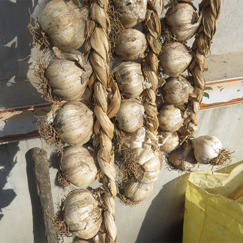 大蒜真实农村农家乐装饰挂串拍摄道具农家院挂件仿真果蔬
