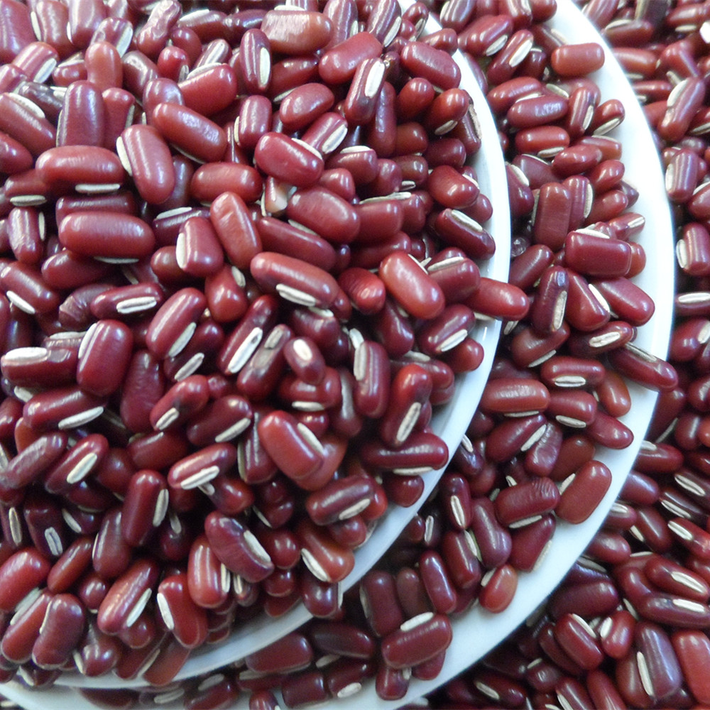 农家新货长粒赤小豆非红小豆2500g农家自产红赤豆薏米粥祛湿除气
