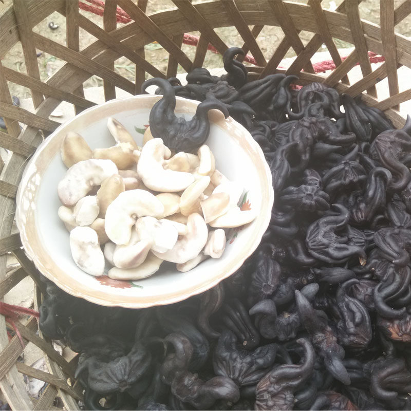 菱角新鲜5斤即食生凌角粉现两角黑色大果牛角菱角