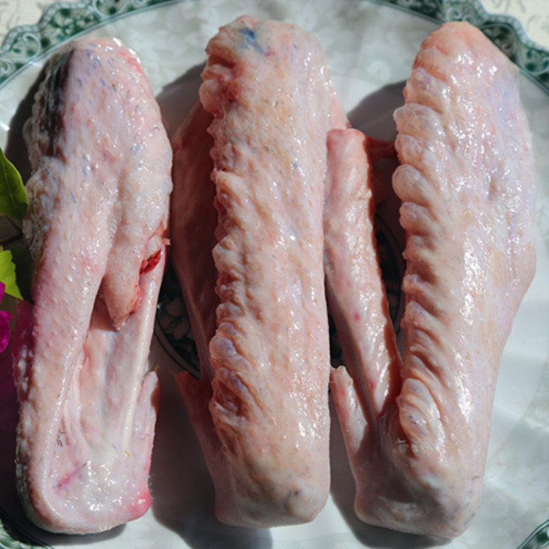 鹅翅古井恒益广东新鲜生鲜翅膀鹅翼鹅亦鹅肉鹅肉