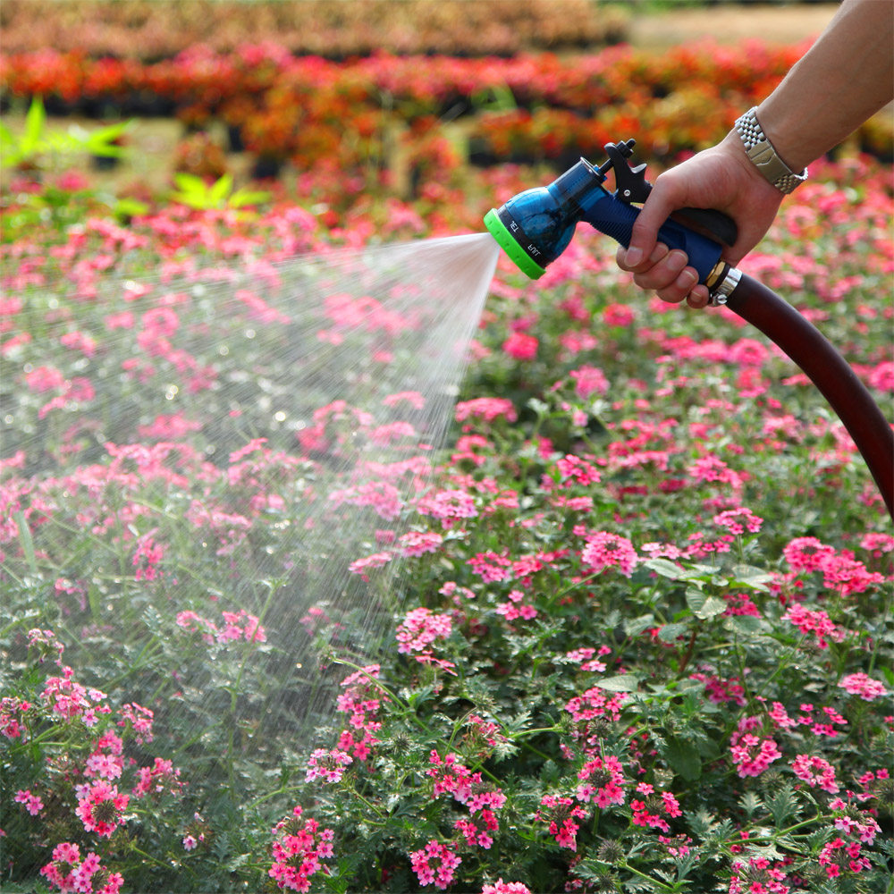 洗车水枪弘晨汽车家用高压器用套装浇花刷车水枪