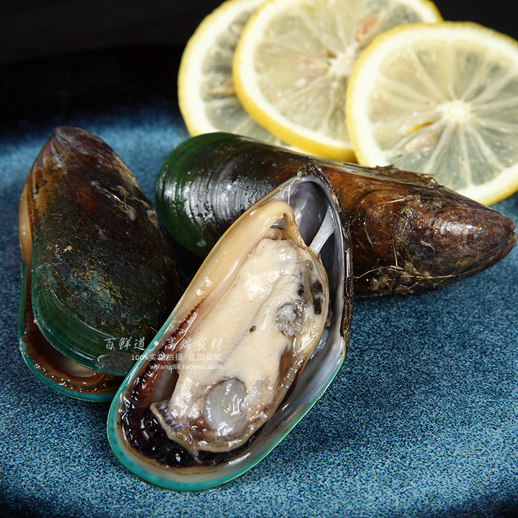 新西兰【鲜活】青口贝 空运进口海鲜水产海虹淡菜绿贻贝全壳800g