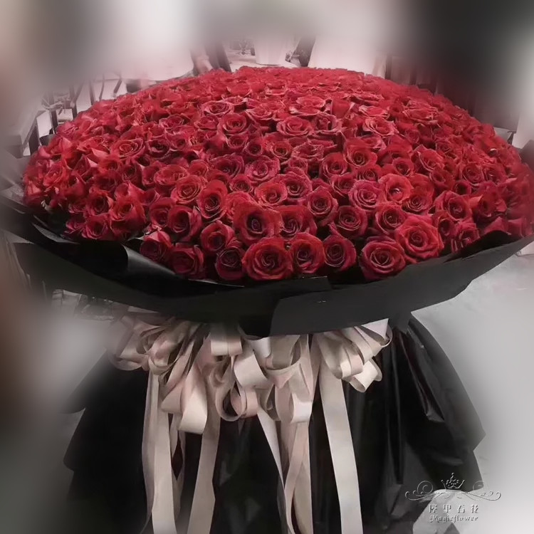 999朵红玫瑰黑纱白纱大型鲜花花束南宁同城生日鲜花速递同城