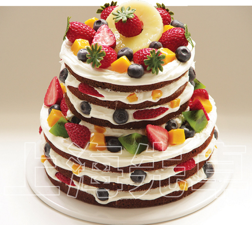 蛋糕模型正品上海先卓仿真塑胶生日样品双层仿真水果
