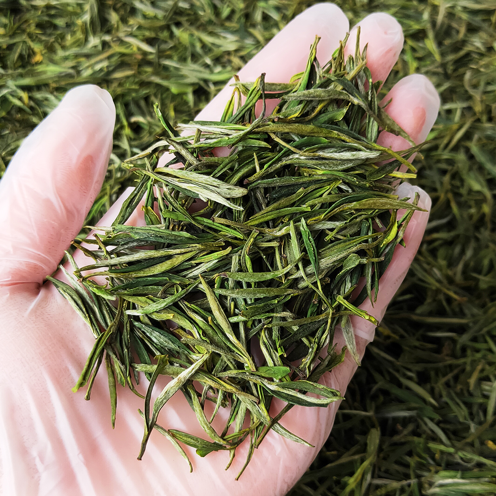 黄芽霍山2022新茶明特级正宗安徽茶叶500g礼盒黄茶