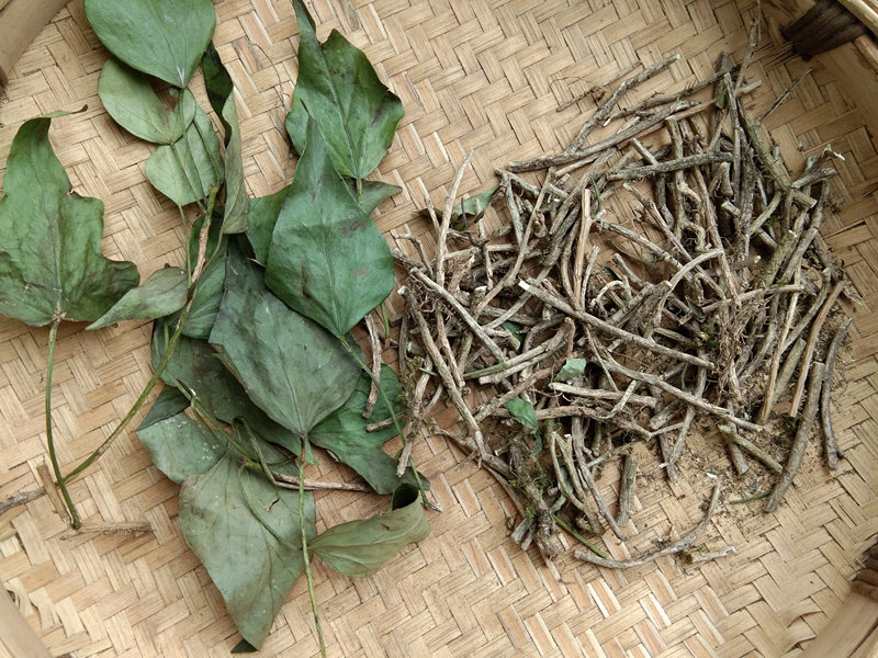 贵州中草药三角枫500g 包邮 农家中药材三角峰 野生自晒山角峰干货