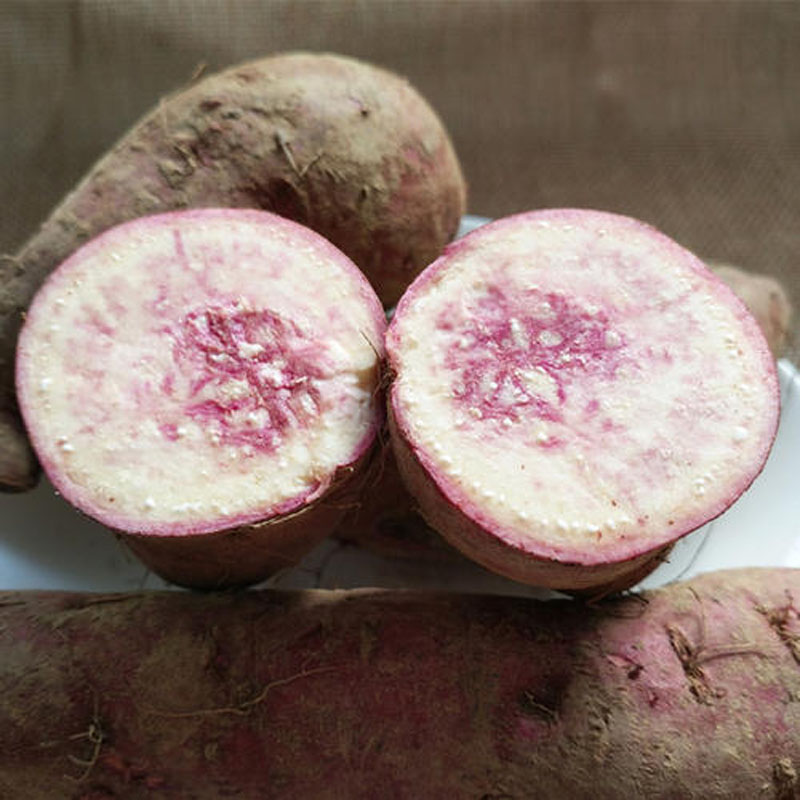 番薯白紫心地瓜湛江徐闻特产花心冰淇淋新鲜红薯番薯