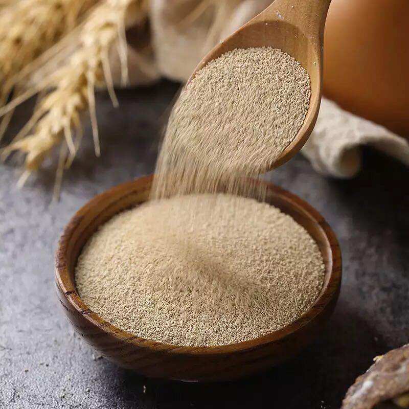 法国乐斯福燕子即发干酵母金燕酵母高活性耐高糖500g烘焙原料