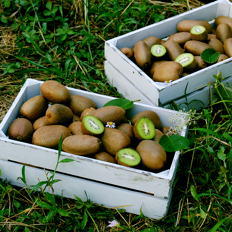 10月上架 东篱的院子翠香青春活力果 绿心猕猴桃顺丰包邮