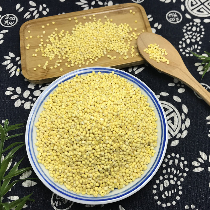 大黄包粽子小米粽子糜子米黄黍米500g粘米软黏小米