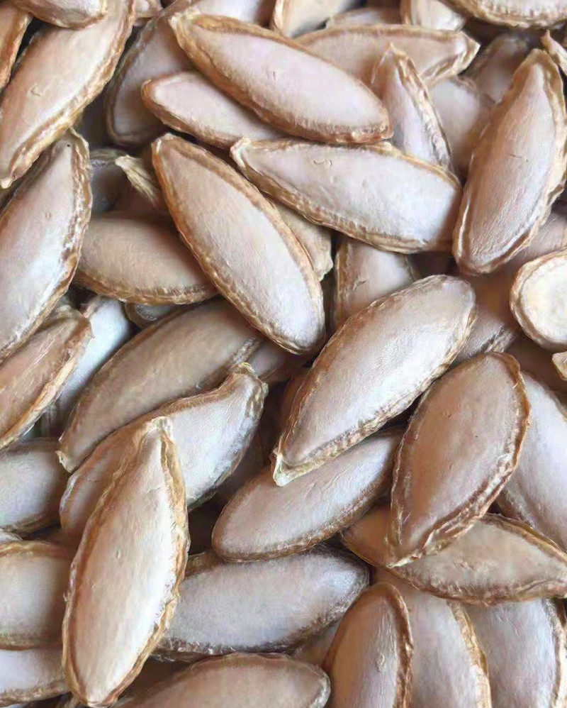 云南新货长毛毛边南瓜子籽窝瓜子炒熟原味椒盐瓜子