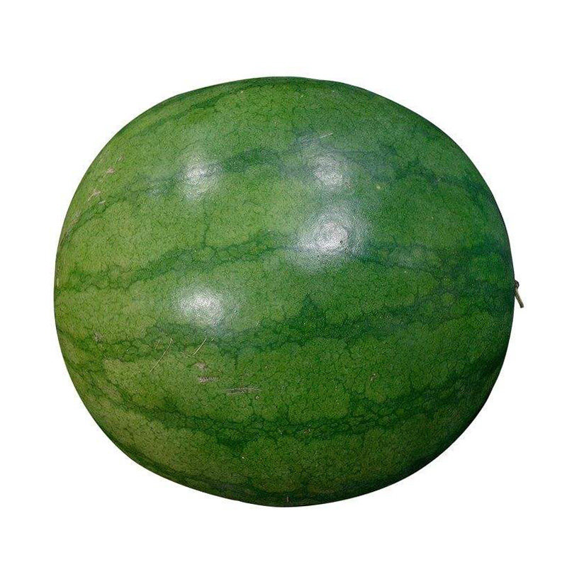 无籽西瓜15斤新鲜香甜脆肉农猫庄园深圳水果果汁西瓜