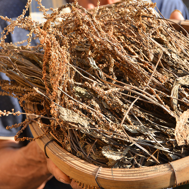 车前草干货车轮草全草500g干净无硫熏新鲜农家草药材车前子正品