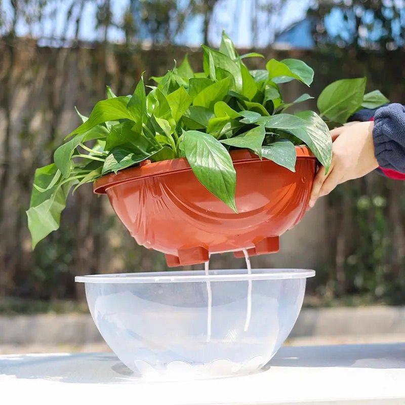 花盆大号塑料透明懒人自动吸水绿萝专用储水花盆
