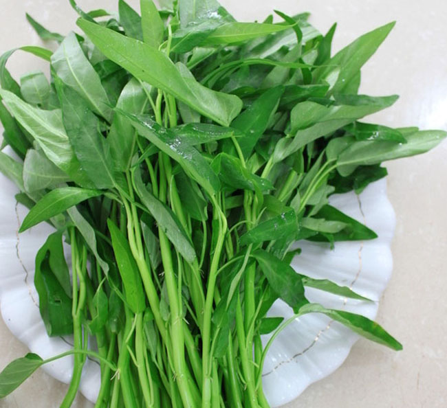 空心菜 特色叶菜阳台盆栽四季蔬菜秋冬季种易种保健菜芽苗菜籽10g_不