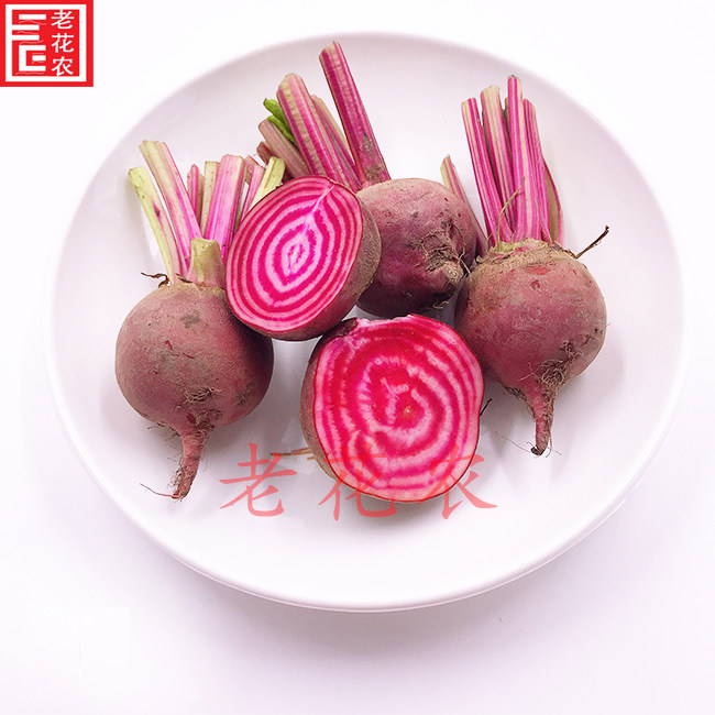 条纹新鲜萝卜菜头螺旋纹菜头酒店西餐摆盘装饰萝卜