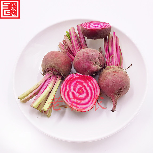 条纹新鲜萝卜菜头螺旋纹菜头酒店西餐摆盘装饰萝卜