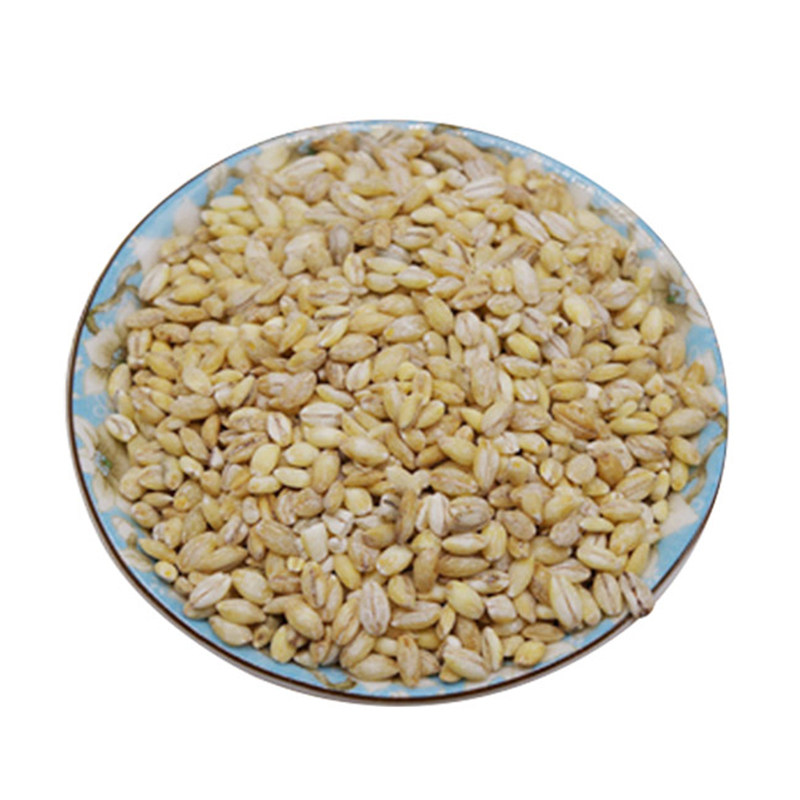 青稞去皮仁好中老年人食物白青稞米青青藏高原粗粮其它粮食