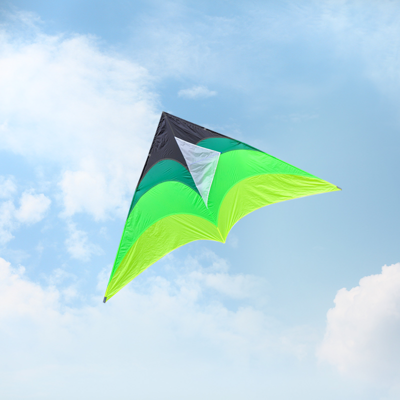 风筝追风者大草原三角伞布碳杆成人大人专用风筝