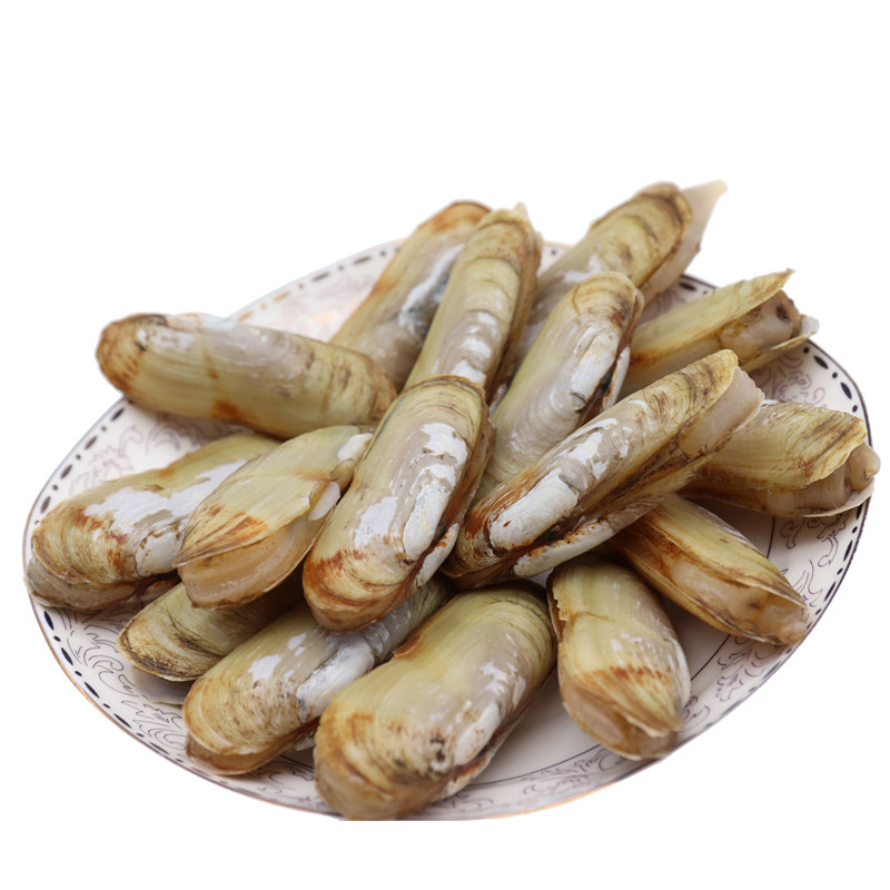 蛏子鲜活大圣圣子大海新鲜大竹双头海贝海净重蛏子