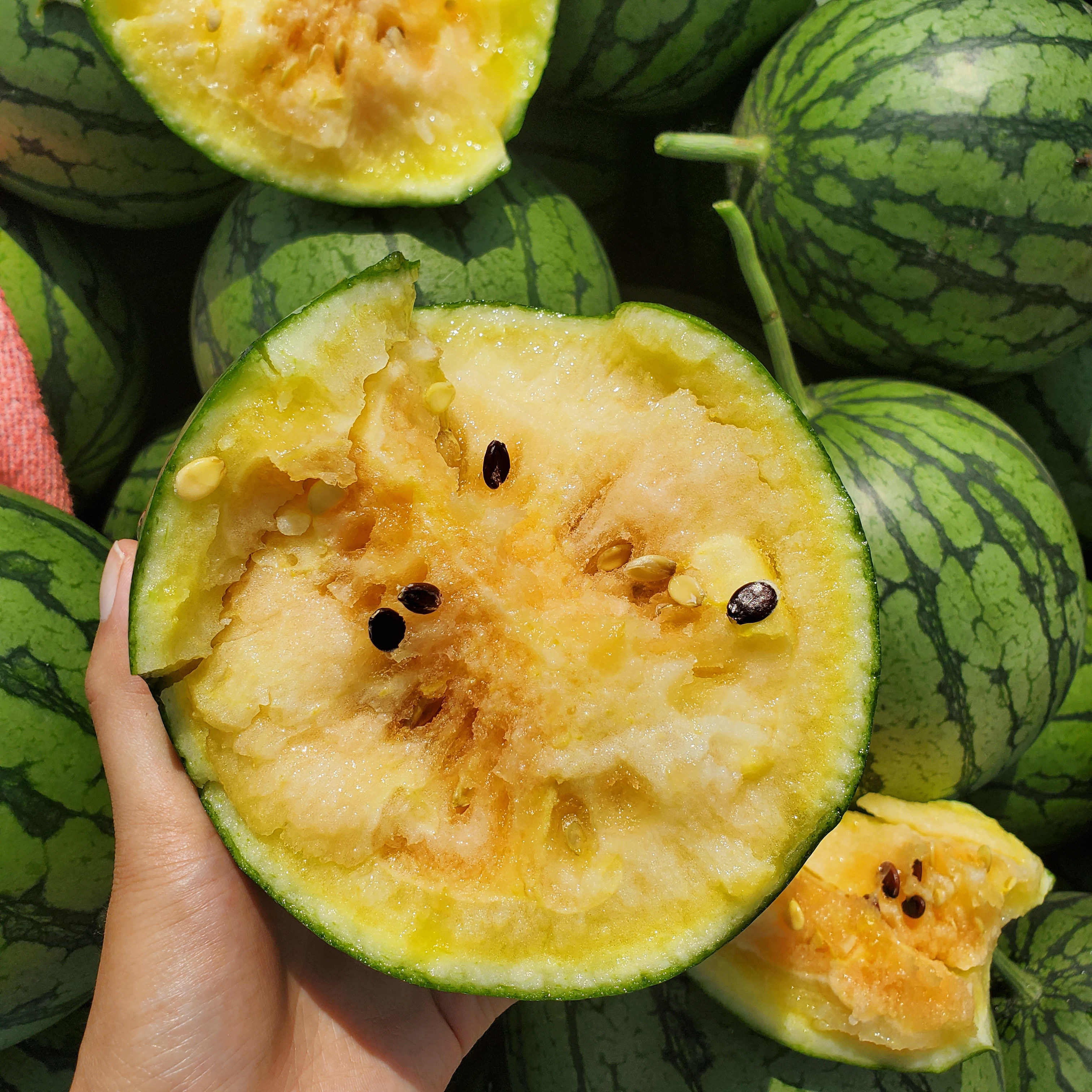 西瓜黄心甜冰糖麒麟薄皮水果新鲜当季58斤8424西瓜