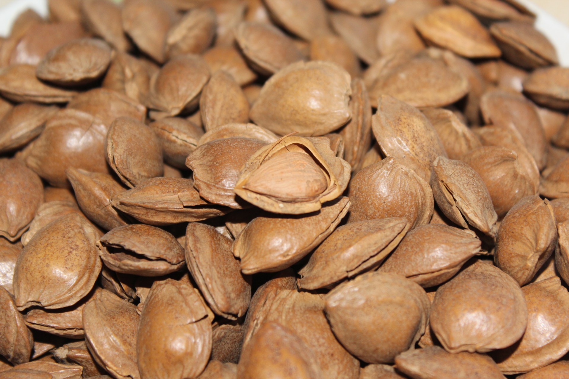 手剥杏核果然新疆特产特色坚果零食特级小银小银杏