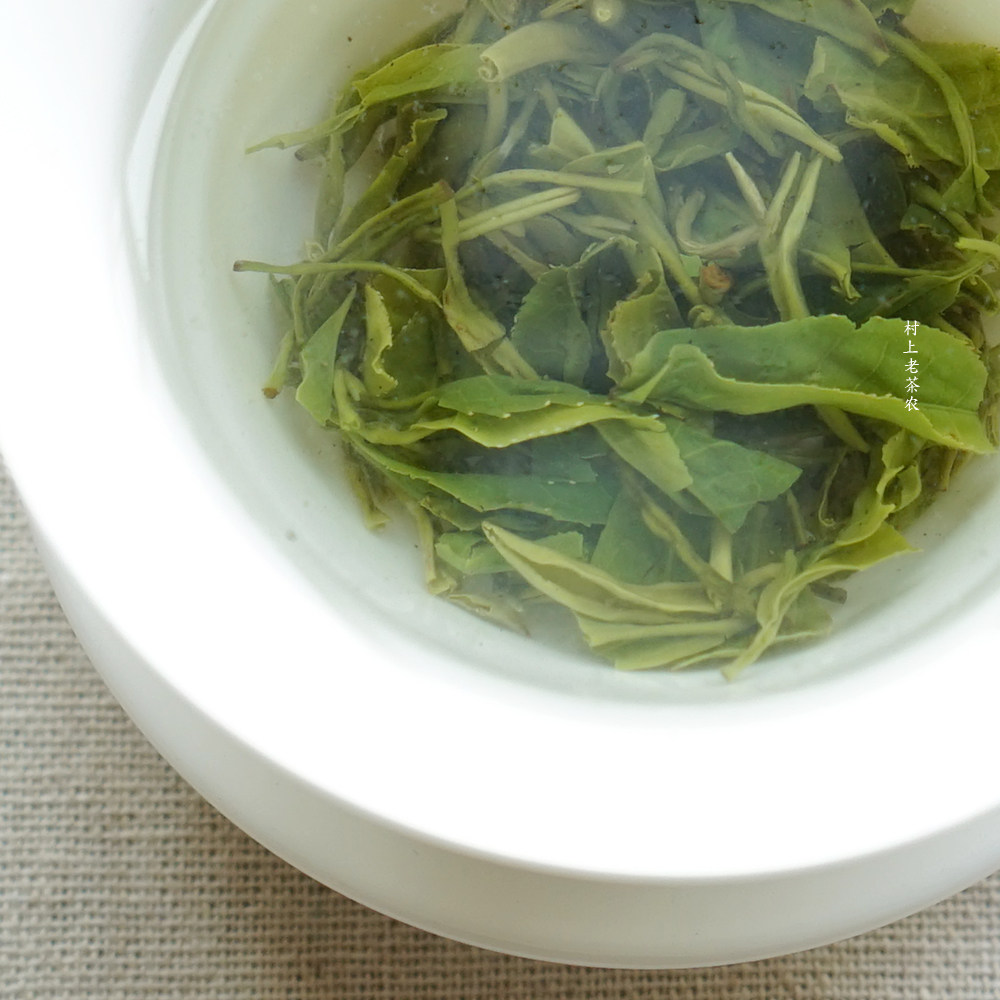 轻舟2022新茶碧螺春绿茶特级明前嫩芽浓香香型碧螺春