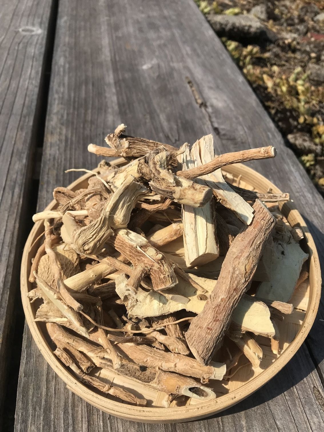 黄花南昆中草药观音远志大远倒水深山王黄花倒吊传统滋补品其他