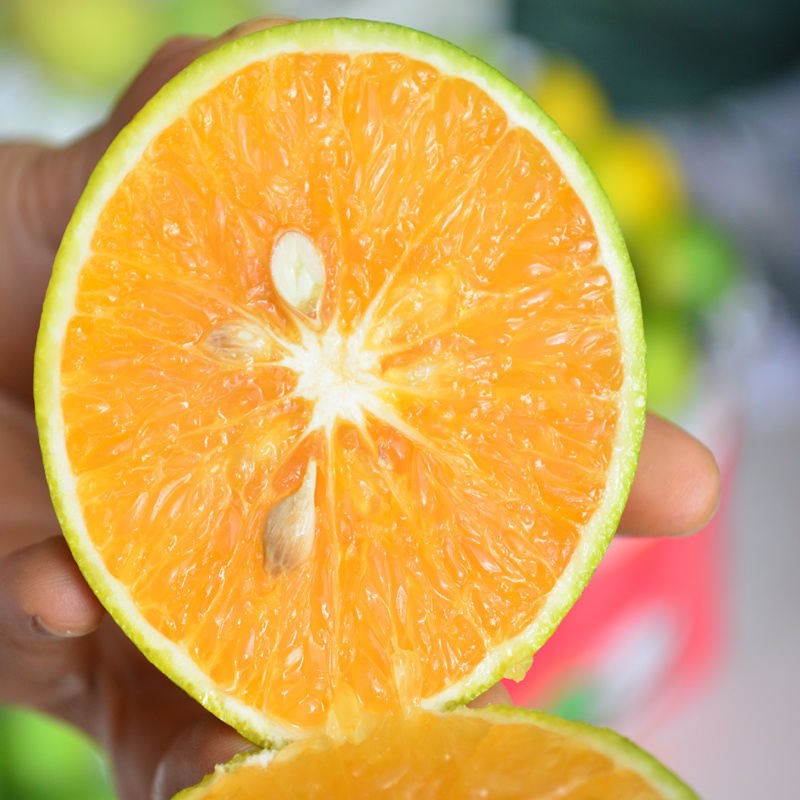 海南水果绿橙新鲜应季橙子包邮橙