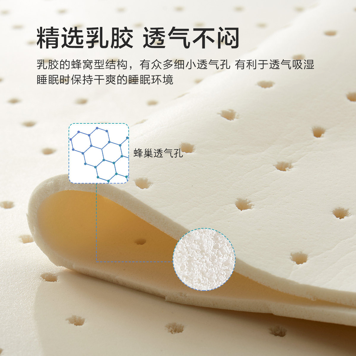 百丽丝乳胶床垫床上用品软垫家用租房专用榻榻米宿舍床垫