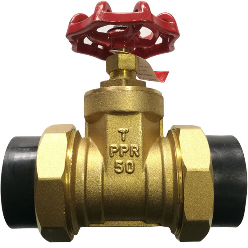 ppr双活闸阀pe活接阀门止水自来水开关全铜ppr管