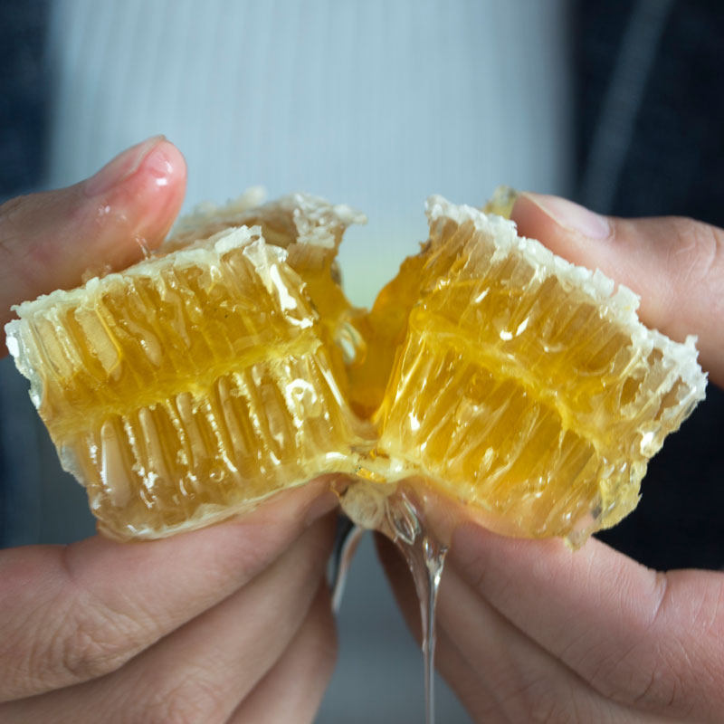 🐝纯正蜂巢蜜500g天然农家自产野生百花土蜂蜜巢嚼着吃盒装蜂窝蜜糖