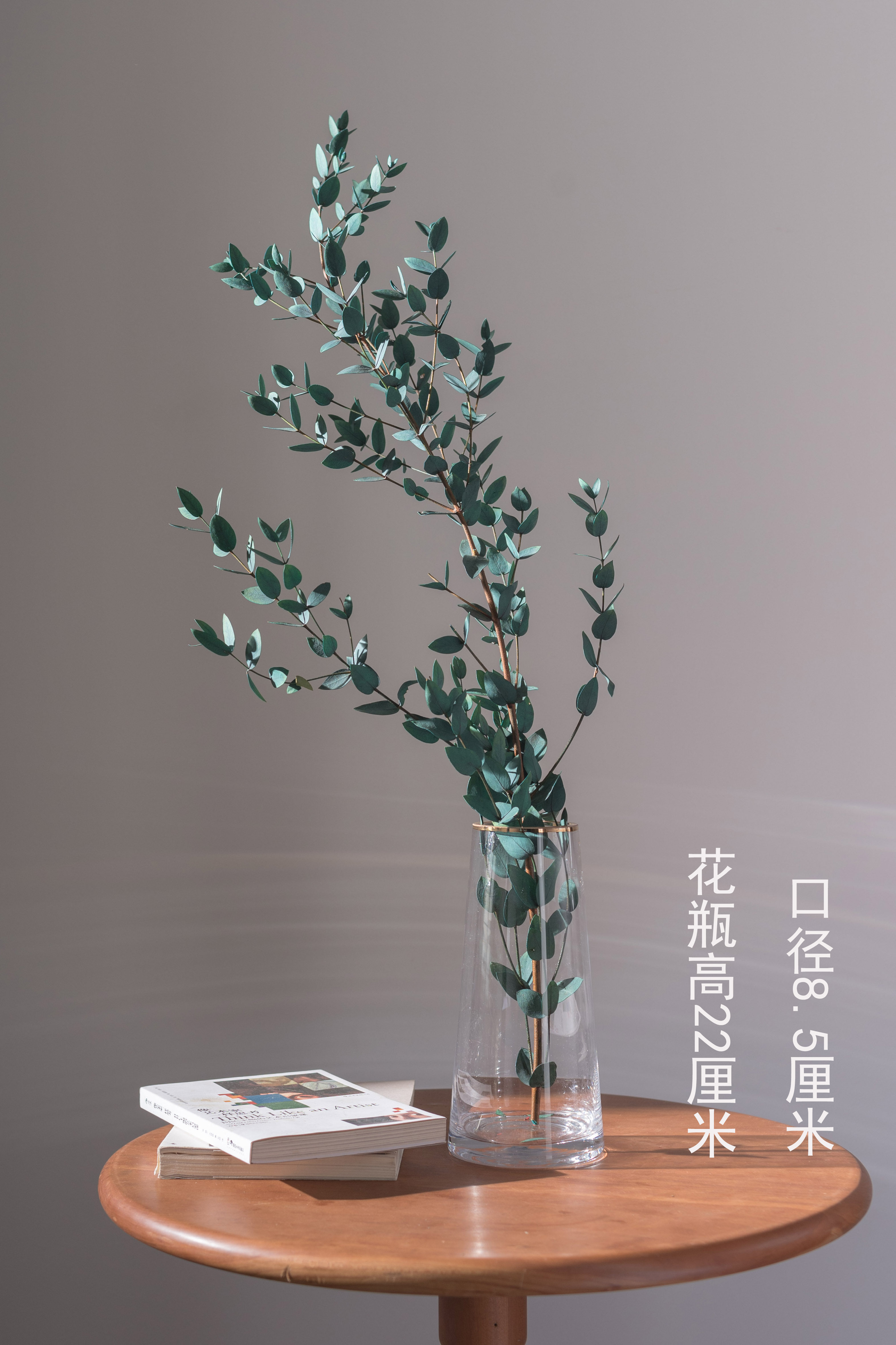 新品细叶尤加利小尖叶北欧欧风ins拍照橱窗装饰干花