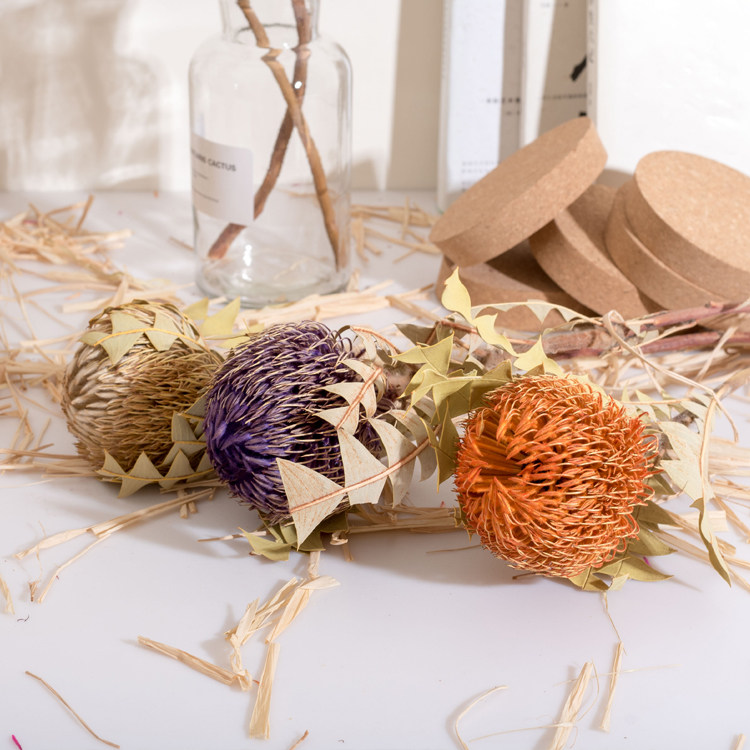 进口风干干花澳洲班斑克木花家居装饰摆设ins拍照干花