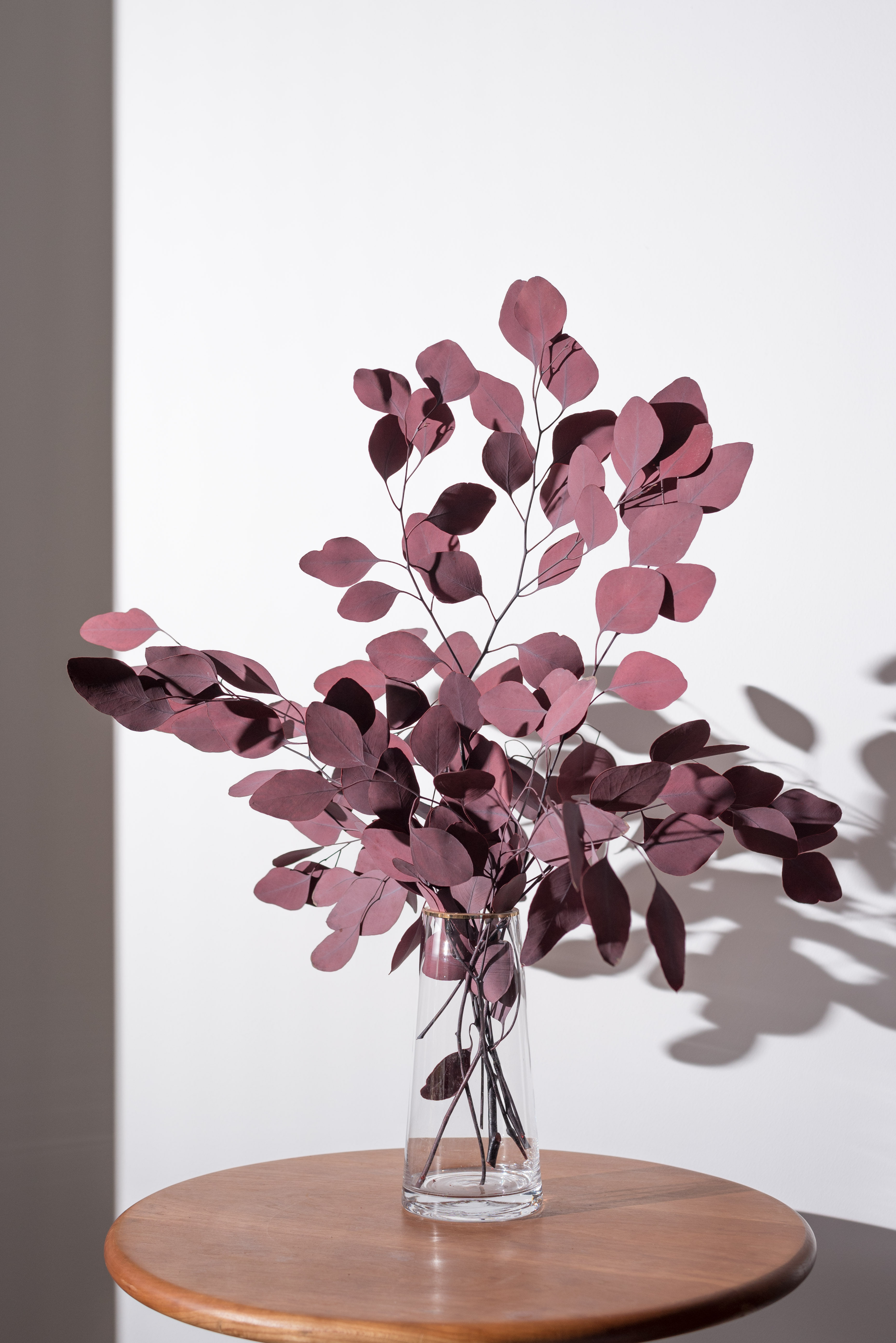 新品拍照苹果永生花装饰蓝色桌面进口叶桌面尤加利干花