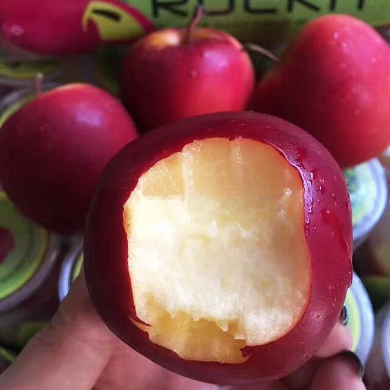 新西兰进口rockit试管小苹果350g2筒乐淇火箭樱桃苹果