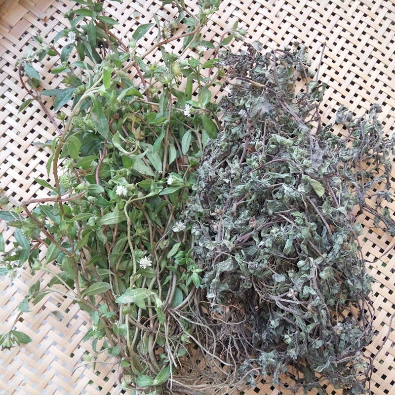 农家自晒墨旱莲整株干品旱莲草乌发黑发中草药黑墨草500g包邮