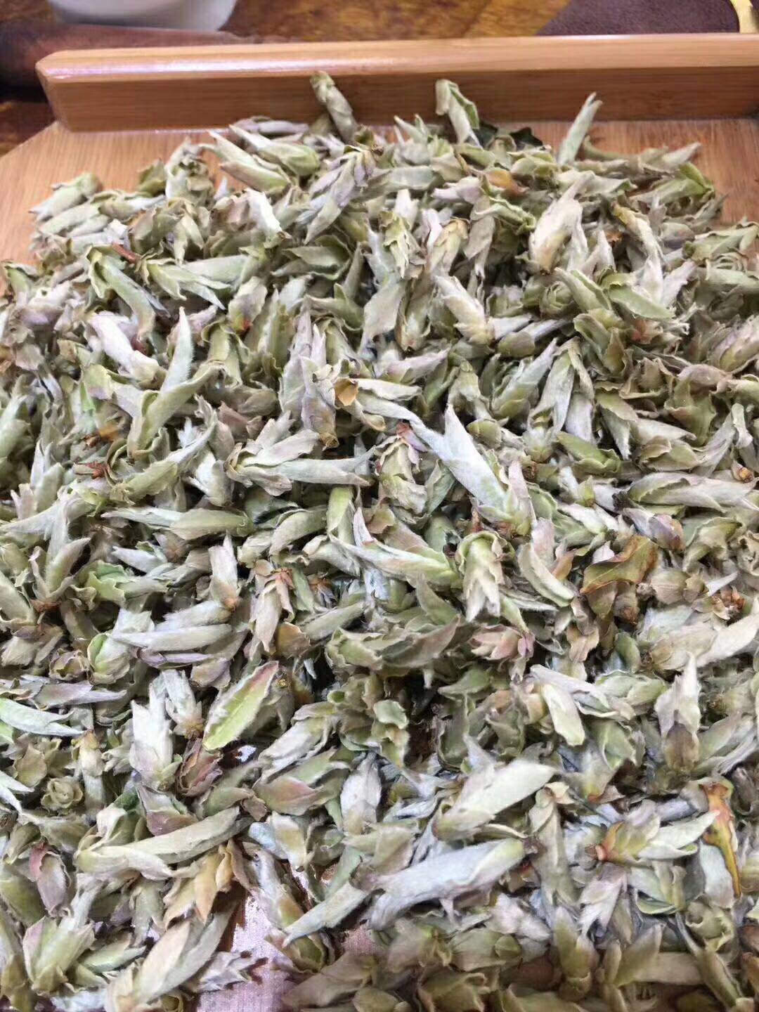 芽苞茶白春茶云南野生古树茶普洱生茶散雀嘴茶叶包装