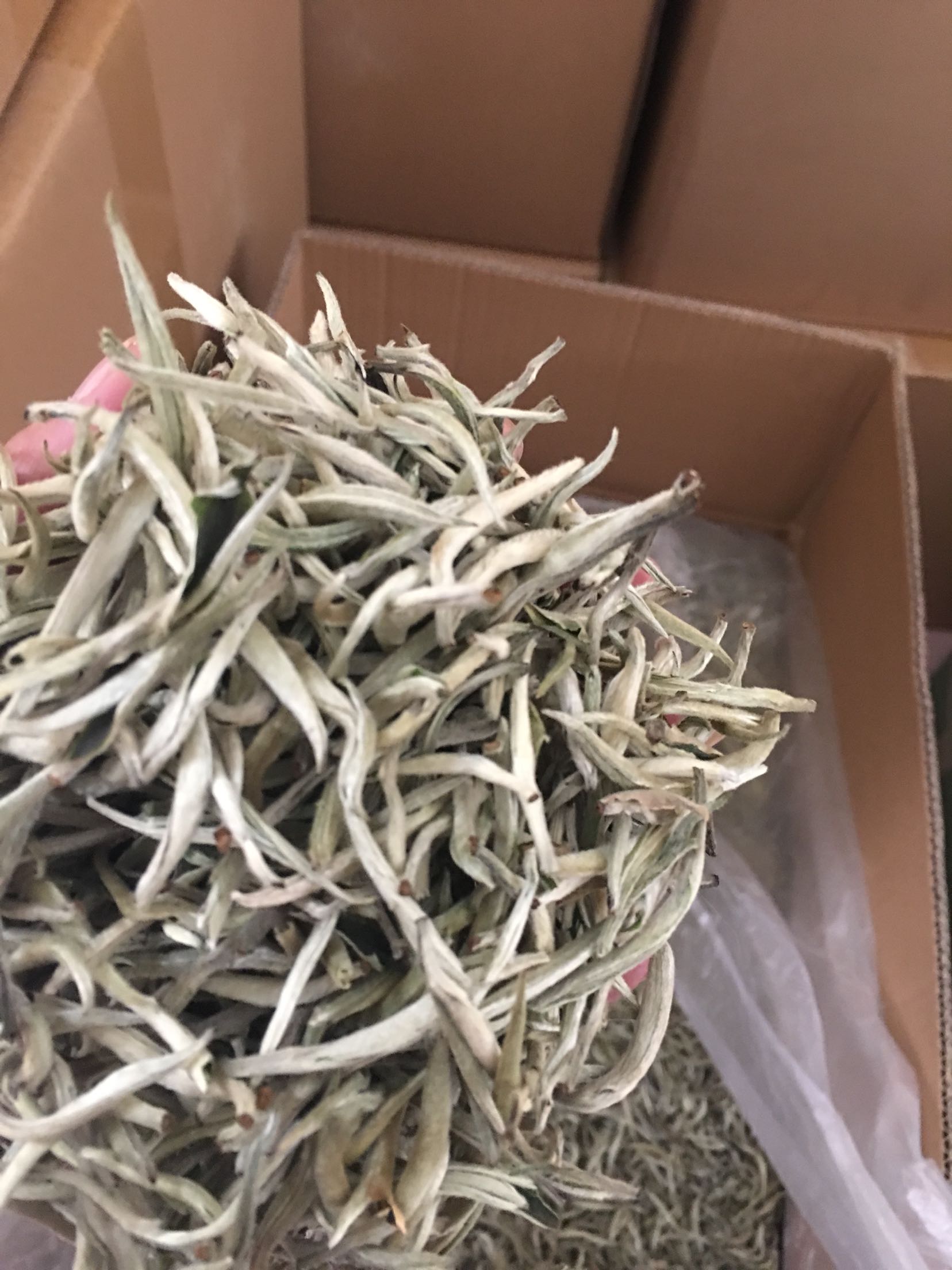 云南景谷大白毫芽头白毫银针古树月光茶叶包装