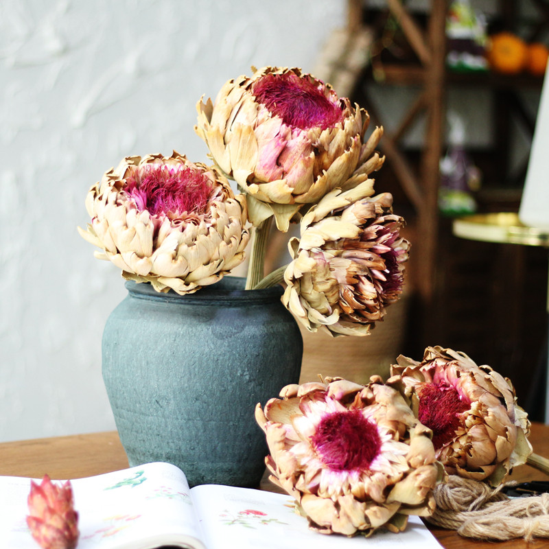 帝王直径厘米大型干花天然进口复古橱窗摆设干花