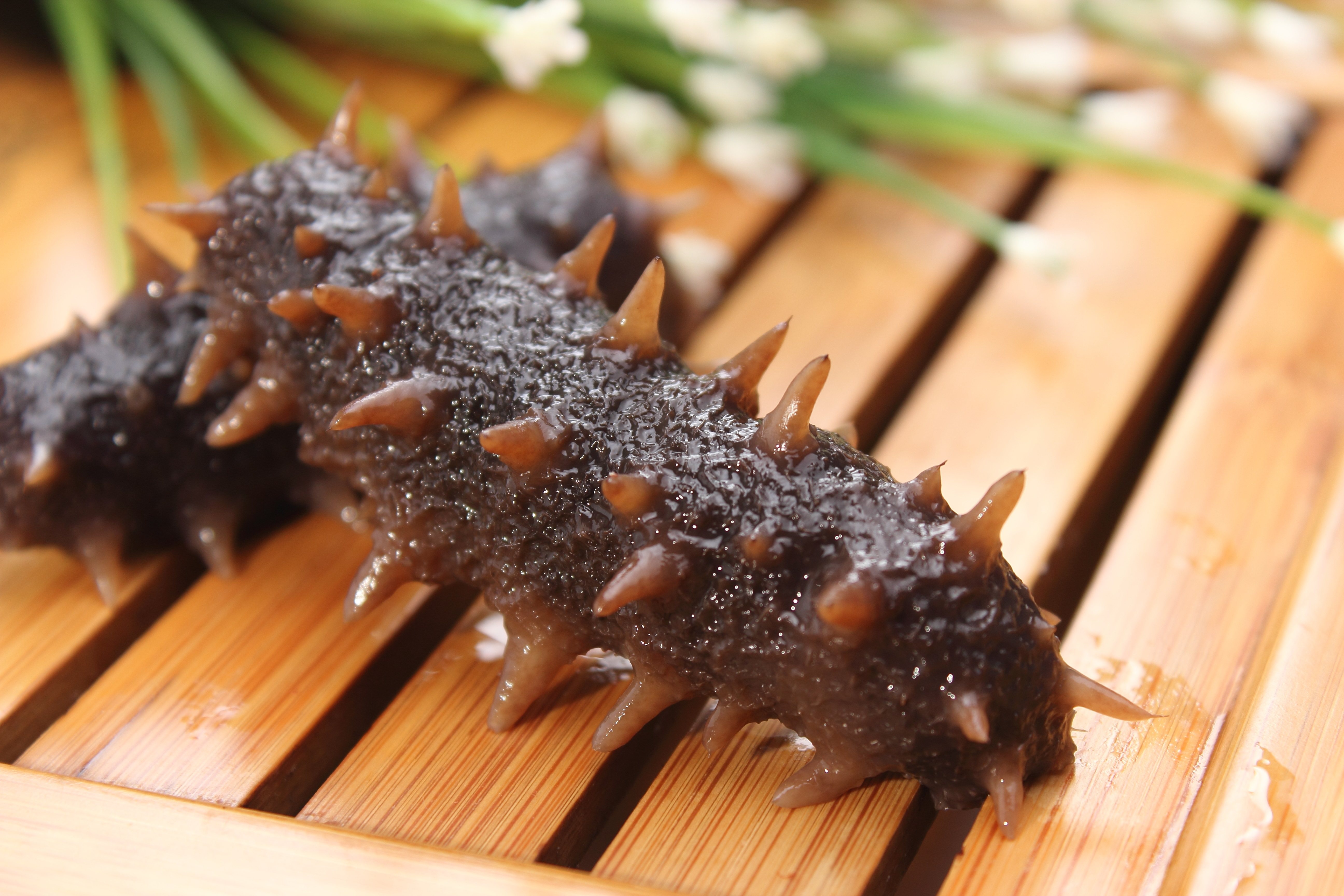 海参干货野生500克干60头海深孕妇大连长岛辽参刺身50g半斤送礼盒