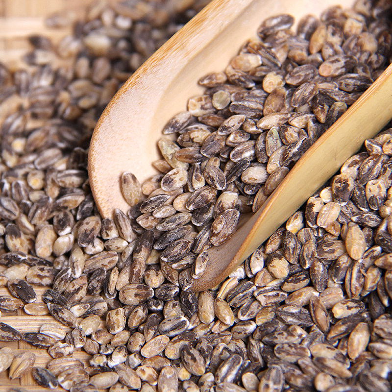 黑小麦仁 黑麦米 去皮黑麦 黑小麦250g 五谷杂粮煲粥 黑麦仁老郭