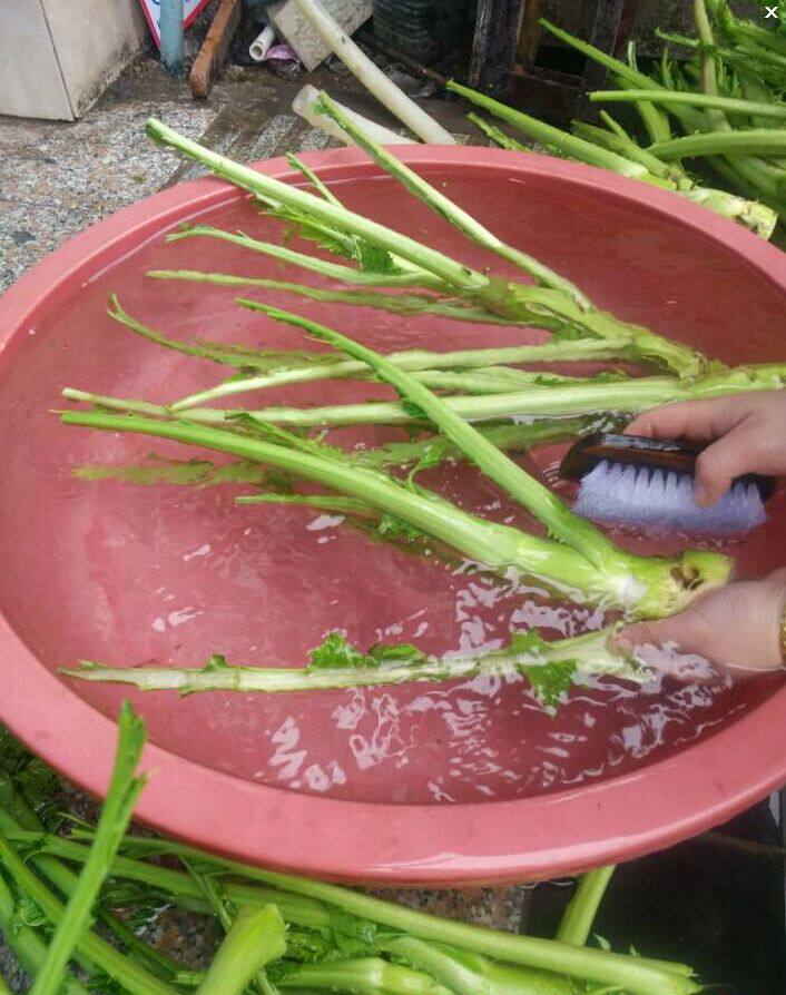 2斤捺菜手工江西特产开胃胃酸辣菜贵溪农家腌制