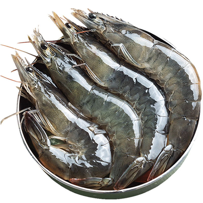 水产大虾青岛鲜活海鲜超大新鲜青虾对虾海虾冻虾