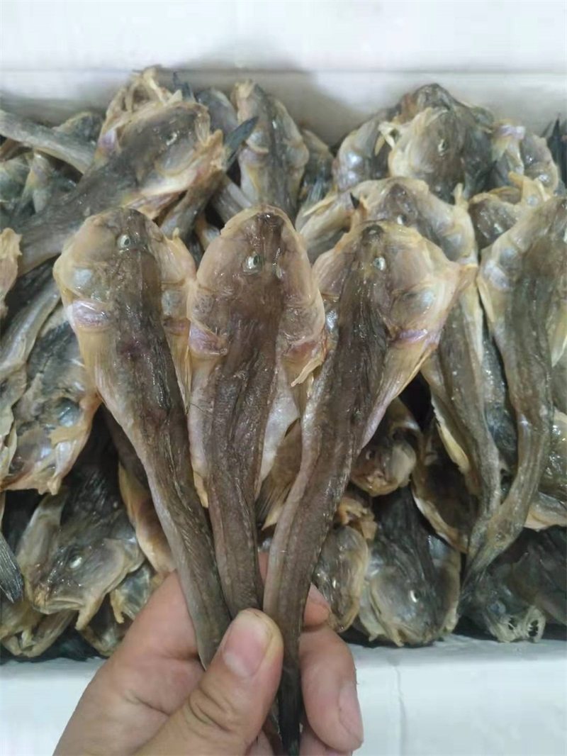 兴城海干货 扔吧鱼咸鱼干 胖头鱼小咸鱼 楞吧鱼油煎小咸鱼 包邮_双氙